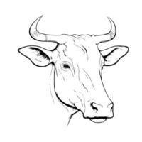 símbolo de estilo lineart minimalista com cabeça de animal de vaca vetor