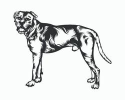 ilustração vetorial de cachorro boxer, vetor de cachorro boxer em fundo branco