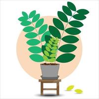 o design é moderno e exótico para a folha monstera verde da natureza na selva botânica de verão para o fundo do banner, decoração, moldura e para ilustração. vetor