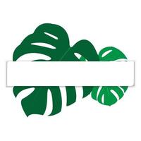 o design é moderno e exótico para a folha monstera verde da natureza na selva botânica de verão para o fundo do banner, decoração, moldura e para ilustração. vetor