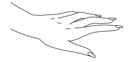design de mão, palma feminina e dedos bem cuidados vetor