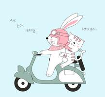 coelho e gato fofos viajando de scooter nas férias
