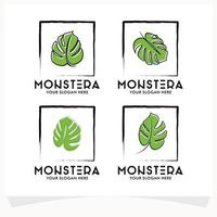 conjunto de modelo de designs de logotipo monstera vetor