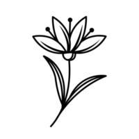 desenho vetorial de uma flor de primavera no estilo doodle. flor vintage, modelo, cartão de casamento, convite, cartão postal, pôster, cartão postal. vetor