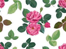 peônias florescendo ou rosas com vetor padrão de botões