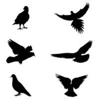 ilustrações vetoriais de silhueta de pombos em fundo branco vetor