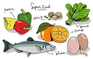 Ilustração vetorial desenhada à mão Super Foods vetor
