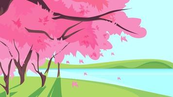 florescendo sakura na margem do rio. vetor
