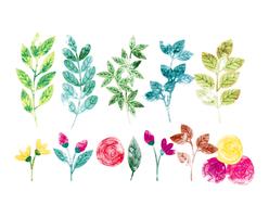 Vector Watercolor Spring Ramos e Flores