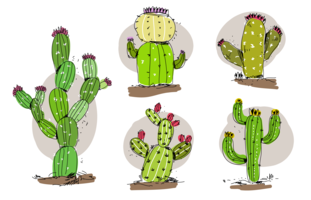 Ilustração desenhada mão do vetor do Succulents