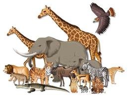 grupo de animais selvagens africanos em fundo branco vetor