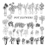 plantas de illustration.house botânicas em potes em vasos com flores. estilo rabisco. vetor