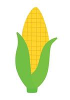 ícone de milho plano clipart desenho animado vegetal ilustração gráfica vetorial vetor