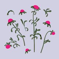 ramo de flor, flor e conjunto de folhas. mão desenhada ilustração floral. conceito de decoração para casa. desenho plano moderno para design de logotipo, padrão, web e aplicativo. vetor