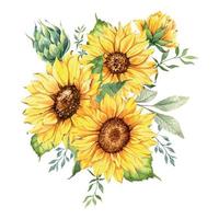 buquê de girassóis em aquarela, buquês de girassóis pintados à mão com vegetação, arranjo de flores de girassol. elementos de clipart de convite de casamento. aquarela floral. desenho botânico. fundo branco. vetor