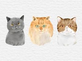 coleção de clipart de elementos de gato em aquarela