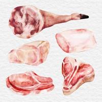 carne em aquarela carne e elemento de frango clipart vetor