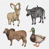 conjunto de coleção de fazenda de clipart de animais selvagens em aquarela vetor