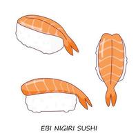 nigiri de sushi de camarão em fundo branco. ebi nigiri. Visão diferente. comida tradicional japonesa. clipart de vetor. vetor