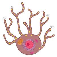 os melanócitos são células especializadas que produzem pigmentos de melanina. vetor