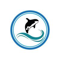 ilustração em vetor logotipo orca em design moderno.