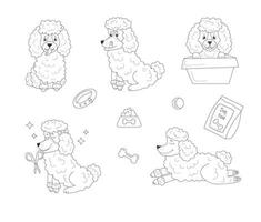 conjunto de linha de poodle branco com diferentes emoções e poses e brinquedos para cães em fundo isolado vetor