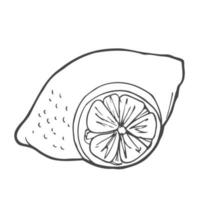 ilustração em vetor estilo cartoon doodle desenhado à mão. conjunto de coleção de frutas cítricas de limão e laranja para menu, design de mercado de agricultores, ilustração de processo de fabricação de coquetéis, decoração de livro de receitas, etc.