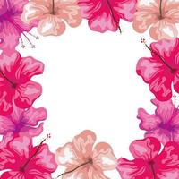 quadro de flores de hibisco cor-de-rosa, natureza tropical, botânica primavera verão vetor