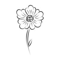 silhuetas negras, flores e ervas isoladas no fundo branco. flor de esboço desenhado de mão vetor