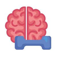 exercício cerebral, cérebro com halteres, em fundo branco vetor