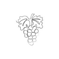cacho de uva. ilustração vetorial desenhada à mão de frutas em estilo de arte minimalista de uma linha. vetor