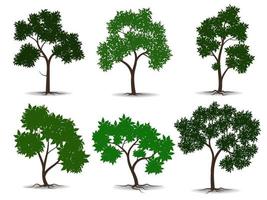 coleção de ícone de árvores planas. pode ser usado para ilustrar qualquer tópico sobre natureza ou estilo de vida saudável. vetor