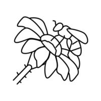 ilustração vetorial de ícone de linha de flor de primavera de abelha vetor