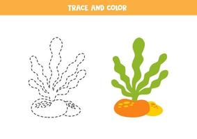 traçar e colorir algas marinhas dos desenhos animados. planilha para crianças. vetor