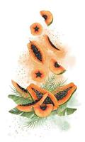 fruta tropical exótica da papaia. ilustração desenhada à mão em aquarela de sobremesa de suco em fundo isolado. composição vertical com salpicos abstratos e folhas de palmeira verde. desenho para comida vetor