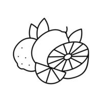 ilustração em vetor ícone de linha de limão e limão ramo