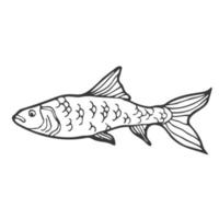 ícone de doodle de contorno desenhado à mão de peixe cru. ilustração vetorial esboço de frutos do mar saudáveis - peixe debaixo d'água para impressão, web, mobile e infográficos isolados no fundo branco. vetor