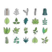 vetor de conjunto de ícones de folha de árvore, arbusto ou flor