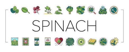 conjunto de ícones de ingrediente de restaurante saudável de espinafre vetor