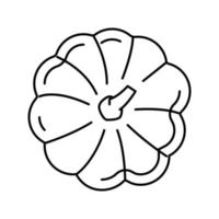 ilustração vetorial de ícone de linha de visão superior de abóbora vetor