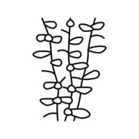 ilustração vetorial do ícone da linha de algas marinhas moneywort vetor