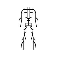 ilustração em vetor ícone de linha do sistema linfático