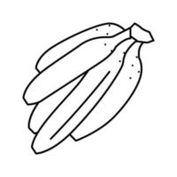 bando de ilustração vetorial de ícone de linha de banana vetor