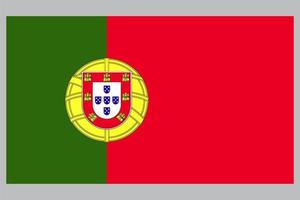 vetor de bandeira do país