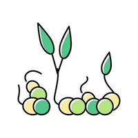 ilustração em vetor ícone de cor de ervilhas brotos