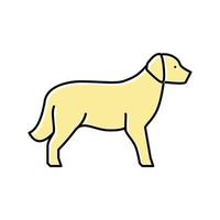 ilustração em vetor ícone de cor de cachorro golden retriever