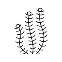 ilustração vetorial de ícone de linha de algas marinhas hornwort vetor