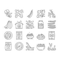 conjunto de ícones de coleção de vegetais de feijão de ervilhas vetor