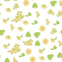 padrão floral sem costura com flores de tília. design ecológico desenhado à mão para tecido e papel de embrulho vetor
