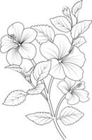 desenho de flor de hibisco mão desenhar ilustração de vaso de flor, desenho vetorial, arte decorativa a lápis, buquê de página para colorir floral e livro isolado em clipart de fundo branco. vetor